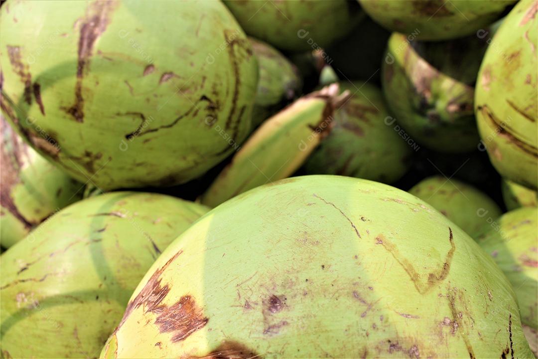 Frutas enpilhados feirante vendendo Cocos comida