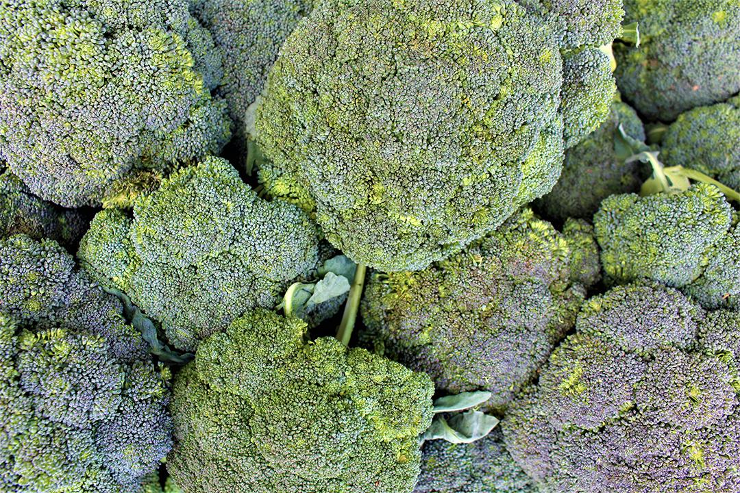 Brócolis Comida verdura alimentos saudaveis