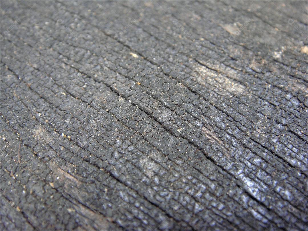 Textura de madeira arvore tronco