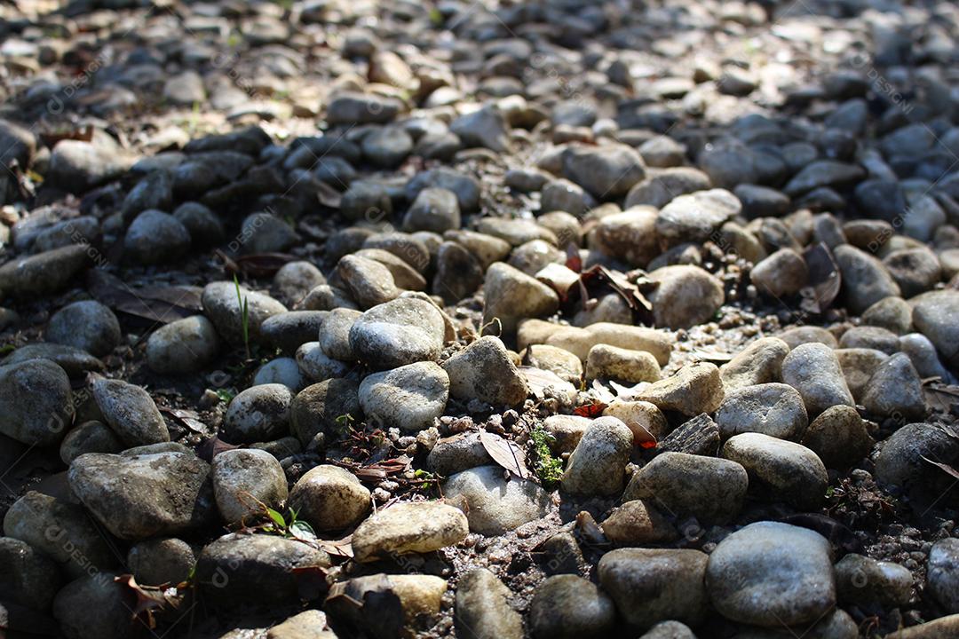 Pedras sobre floresta chão pedreira