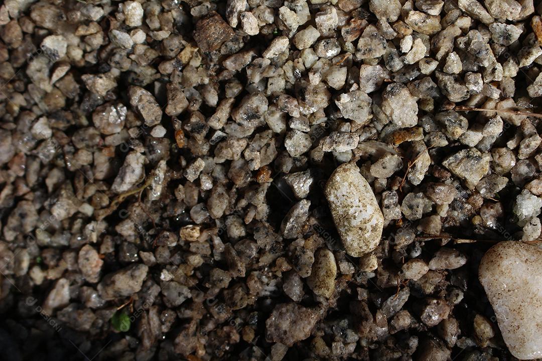 Pedras sobre floresta chão pedreira