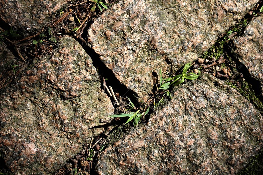 Parede casa de tijolos de barro