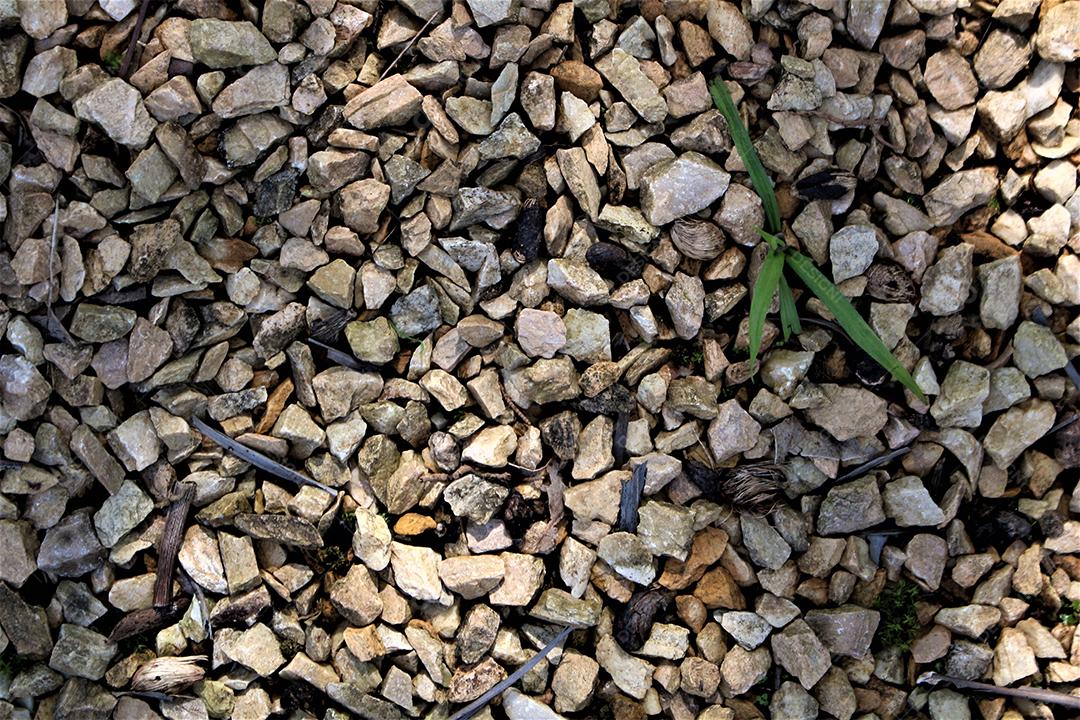 Pedras rochas sobre dia ensolarado