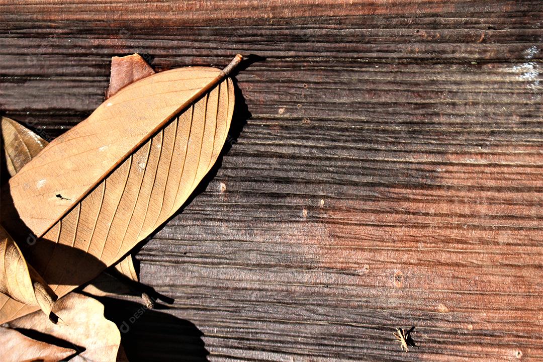 Folhas secas sobre mesa de madeira