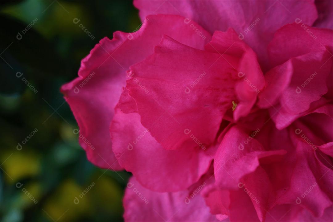 Flores plantas sobre fundo desfocado