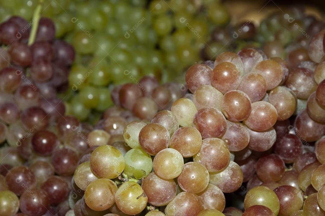 Uvas maduras prontas para ser vendidas feiras mercados supermercados