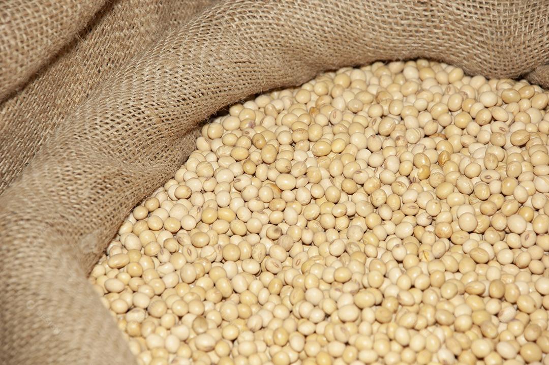 Soja em grãos dentro de uma saco plástico
