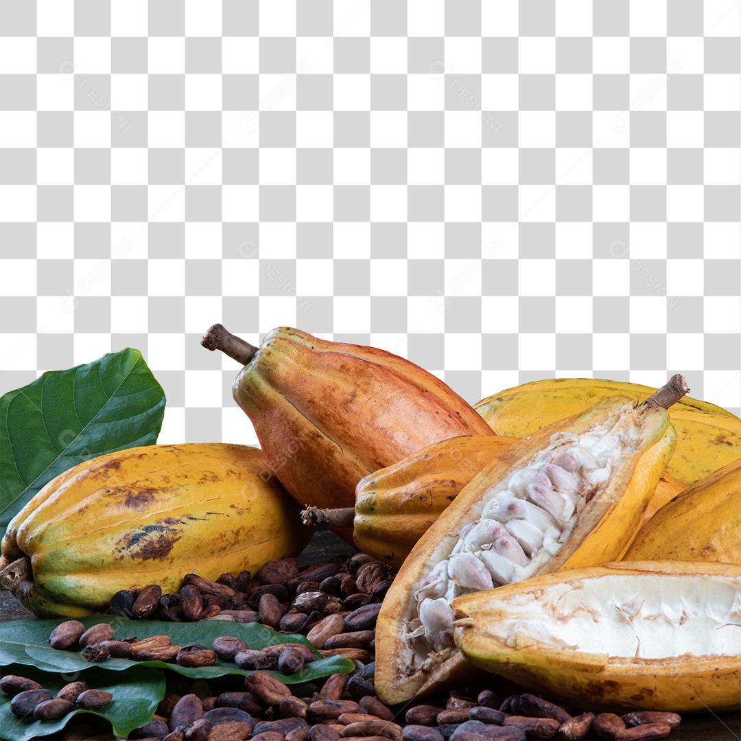 Fruta Cacau Madura Acima De Pedras Com Folhas PNG Transparente