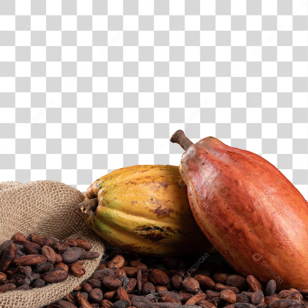 Fruta Cacau Madura Acima De Pedras Com Folhas PNG Transparente