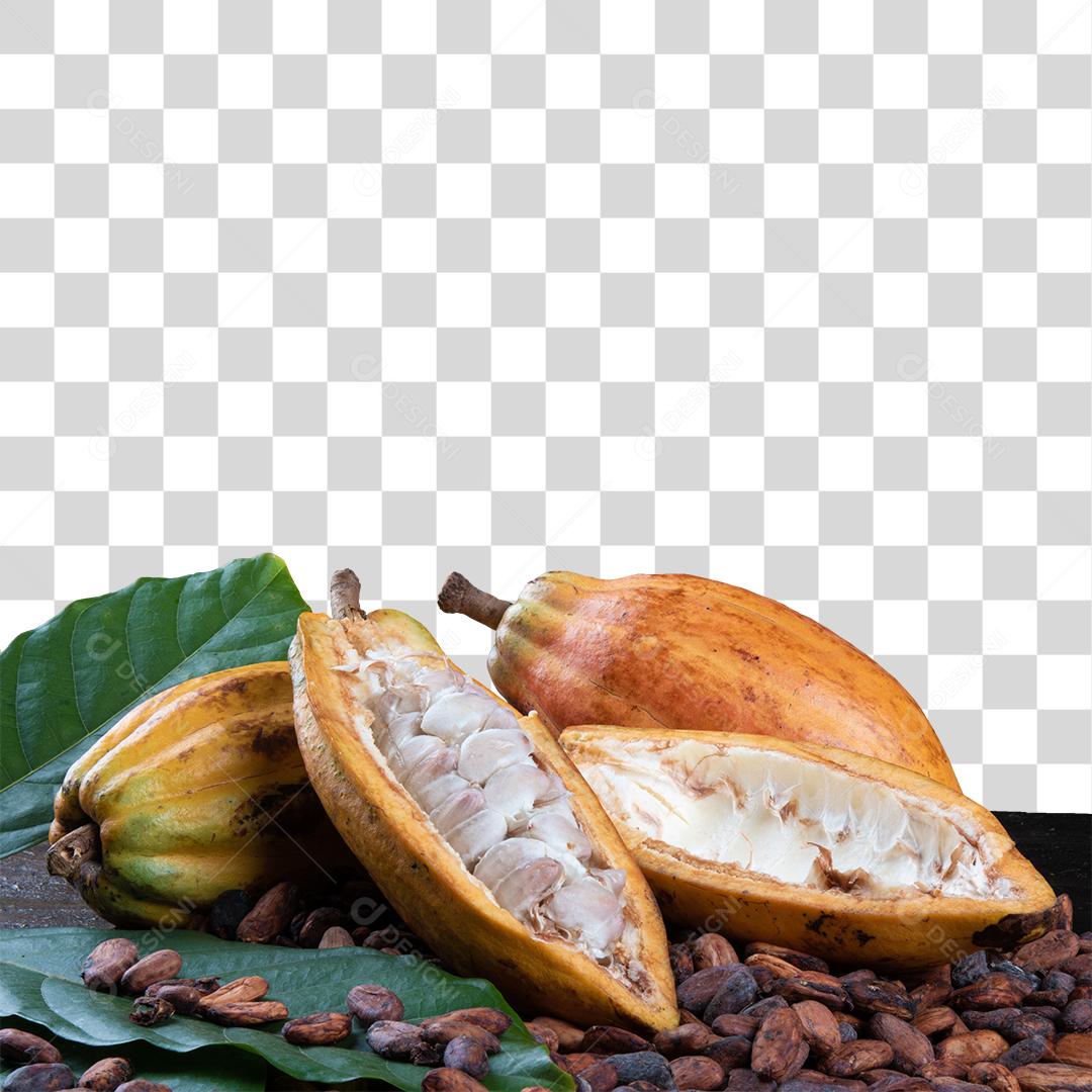 Fruta Cacau Madura Acima De Pedras Com Folhas PNG Transparente