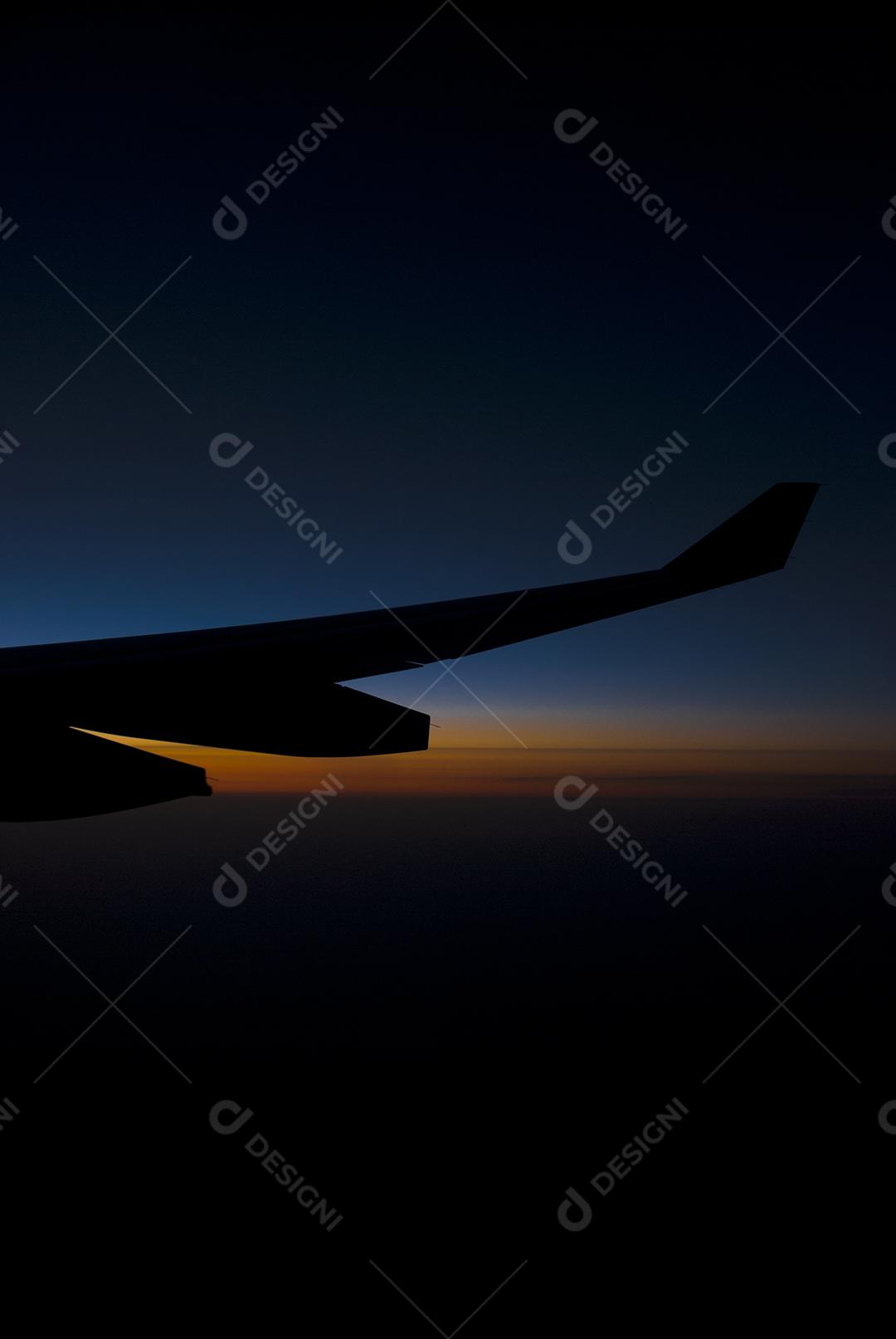 Asa de avião Sobrevoando rios e matas em por do sol