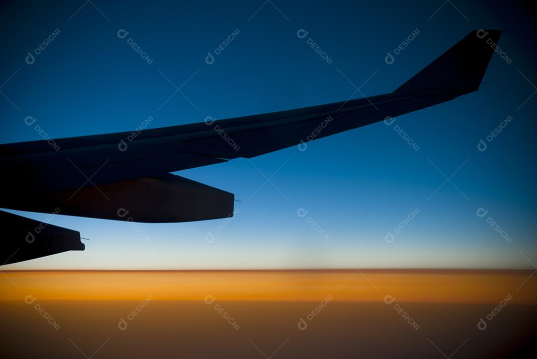 Asa de avião Sobrevoando rios e matas em por do sol