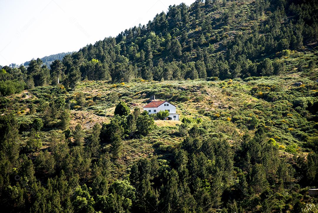 Paisagem de montanhas com varias arvores e uma casa