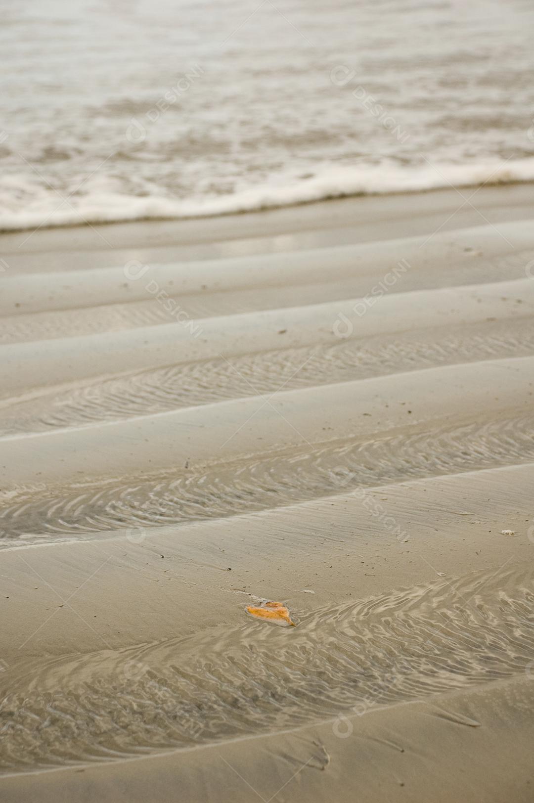 Ondas em mar em dia nublado em praia