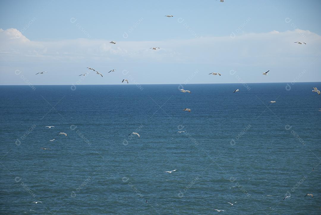 Paisagem de praia com gaivotas arreia e ondas