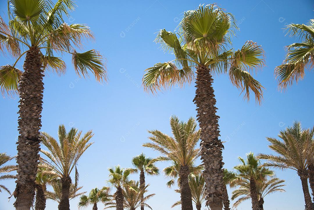 Pontos Turísticos de Valencia Espanha