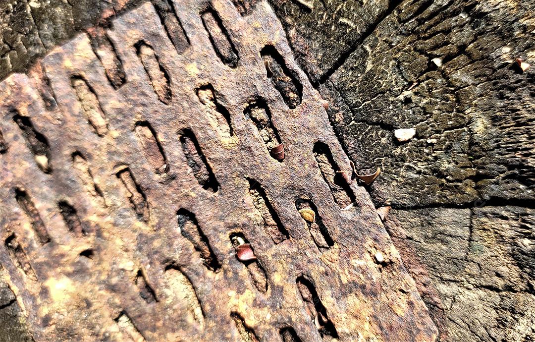 Tampa de câmara de visita redonda do esgoto na grama verde