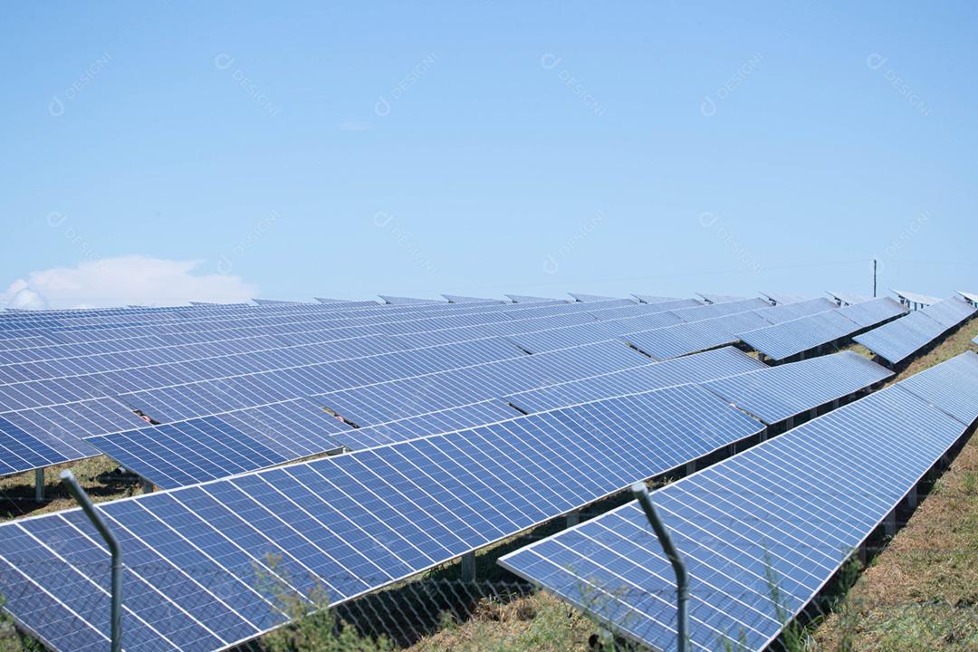 energia verde da fazenda solar da luz do sol mostra muita célula solar