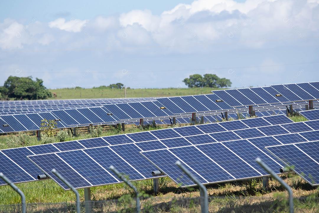 energia verde da fazenda solar da luz do sol mostra muita célula solar