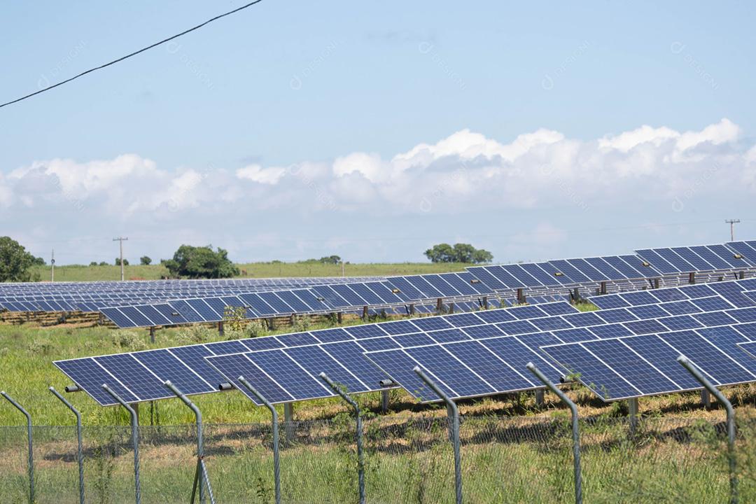 energia verde da fazenda solar da luz do sol mostra muita célula solar