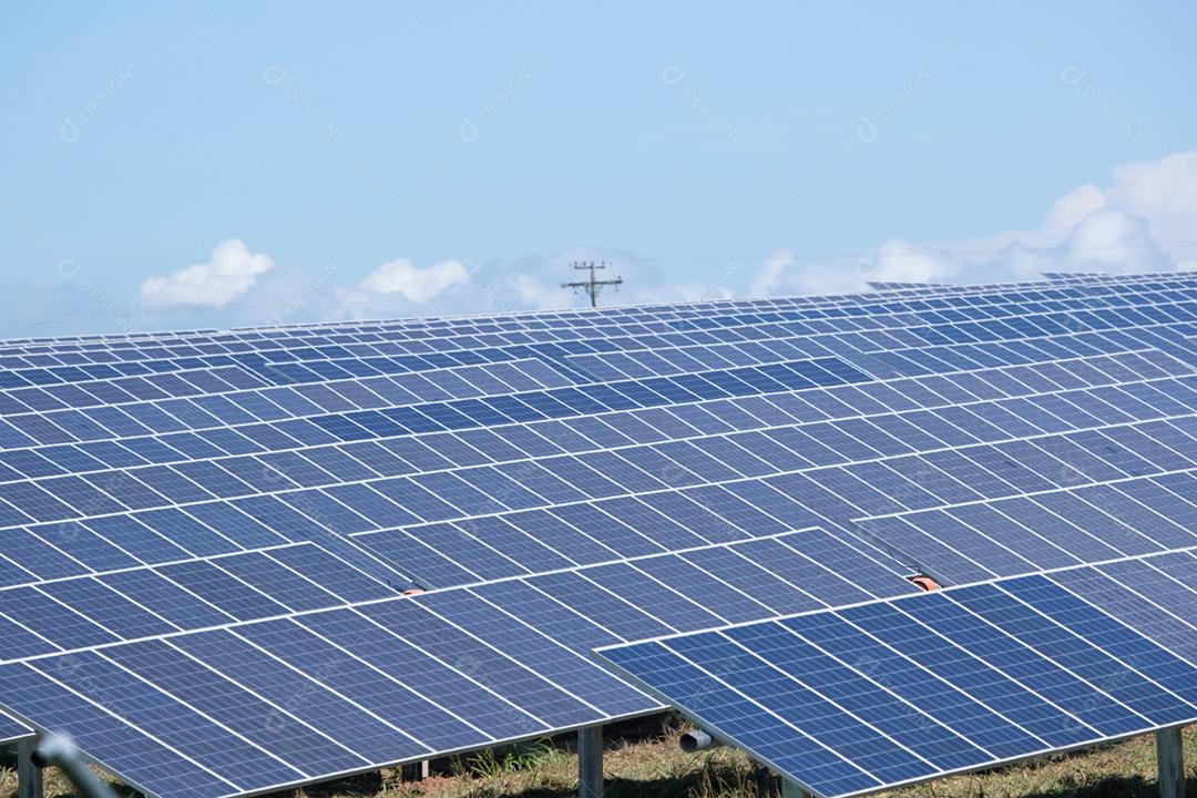 energia verde da fazenda solar da luz do sol mostra muita célula solar