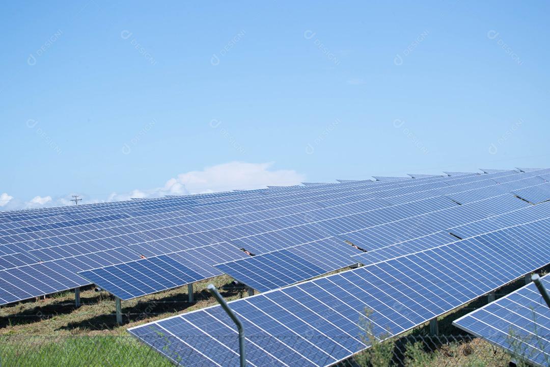 energia verde da fazenda solar da luz do sol mostra muita célula solar