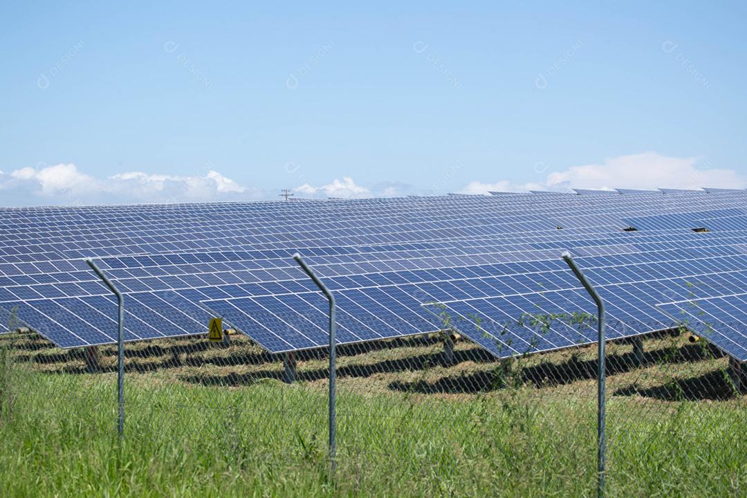 energia verde da fazenda solar da luz do sol mostra muita célula solar