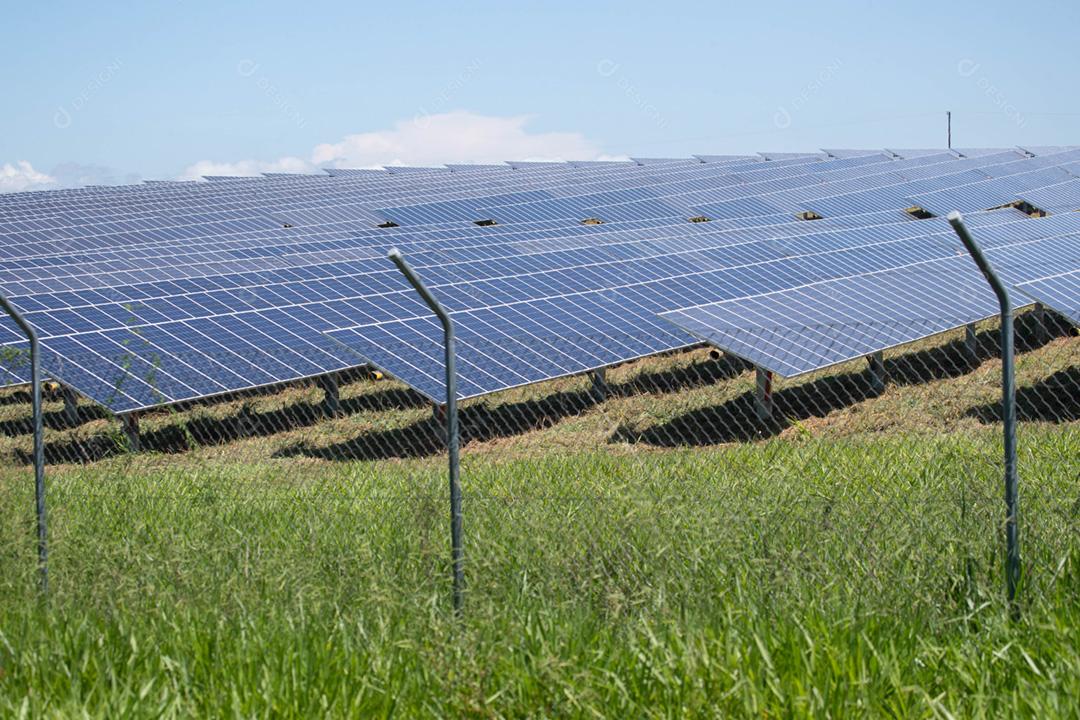 energia verde da fazenda solar da luz do sol mostra muita célula solar