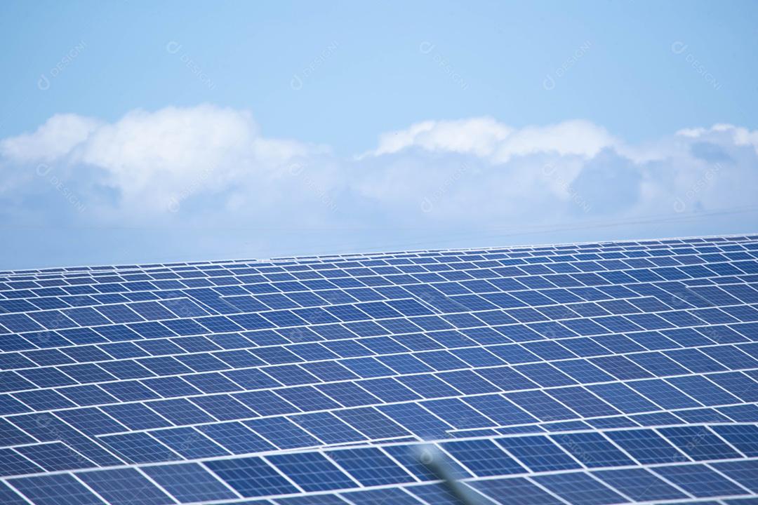 energia verde da fazenda solar da luz do sol mostra muita célula solar