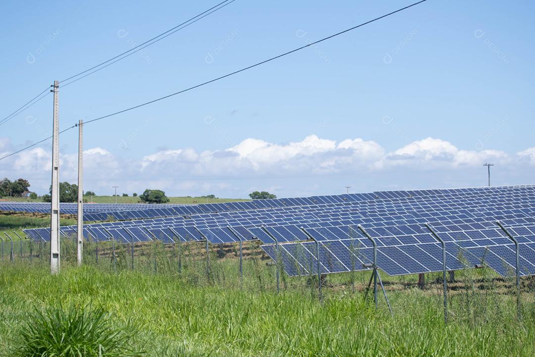 energia verde da fazenda solar da luz do sol mostra muita célula solar
