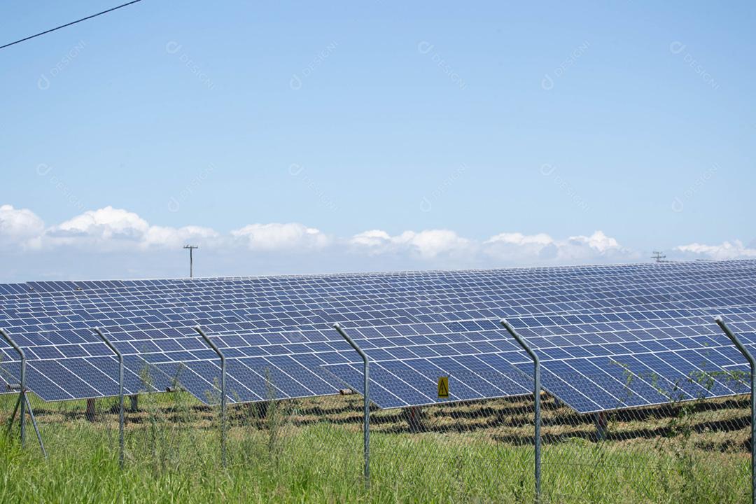 energia verde da fazenda solar da luz do sol mostra muita célula solar