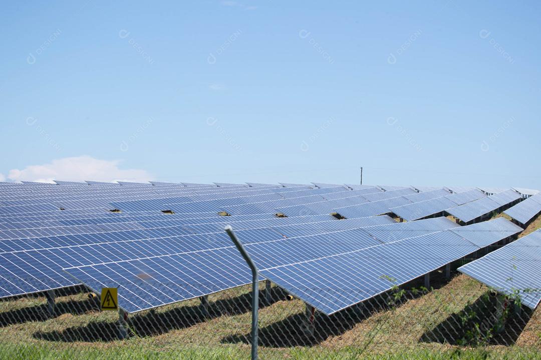 energia verde da fazenda solar da luz do sol mostra muita célula solar