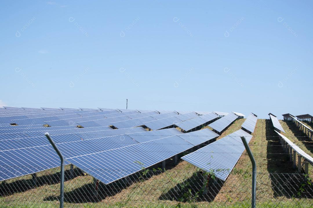 energia verde da fazenda solar da luz do sol mostra muita célula solar