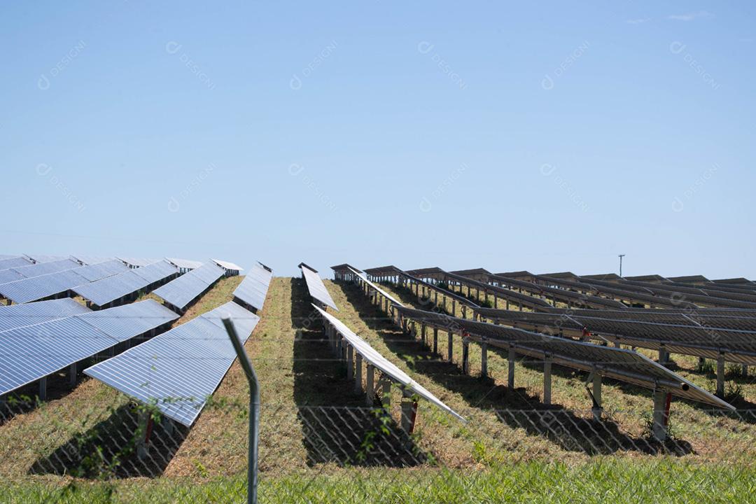 energia verde da fazenda solar da luz do sol mostra muita célula solar