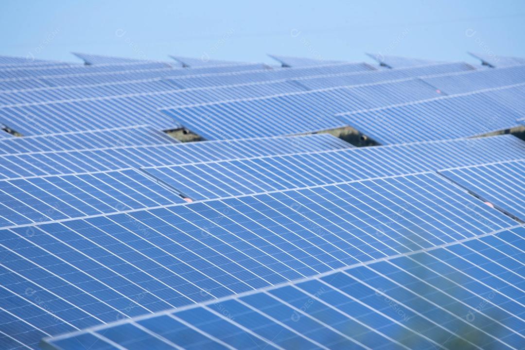 energia verde da fazenda solar da luz do sol mostra muita célula solar