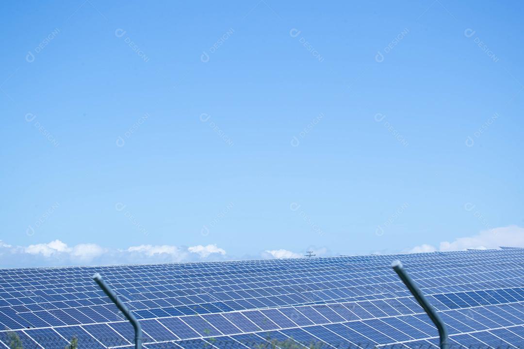 energia verde da fazenda solar da luz do sol mostra muita célula solar