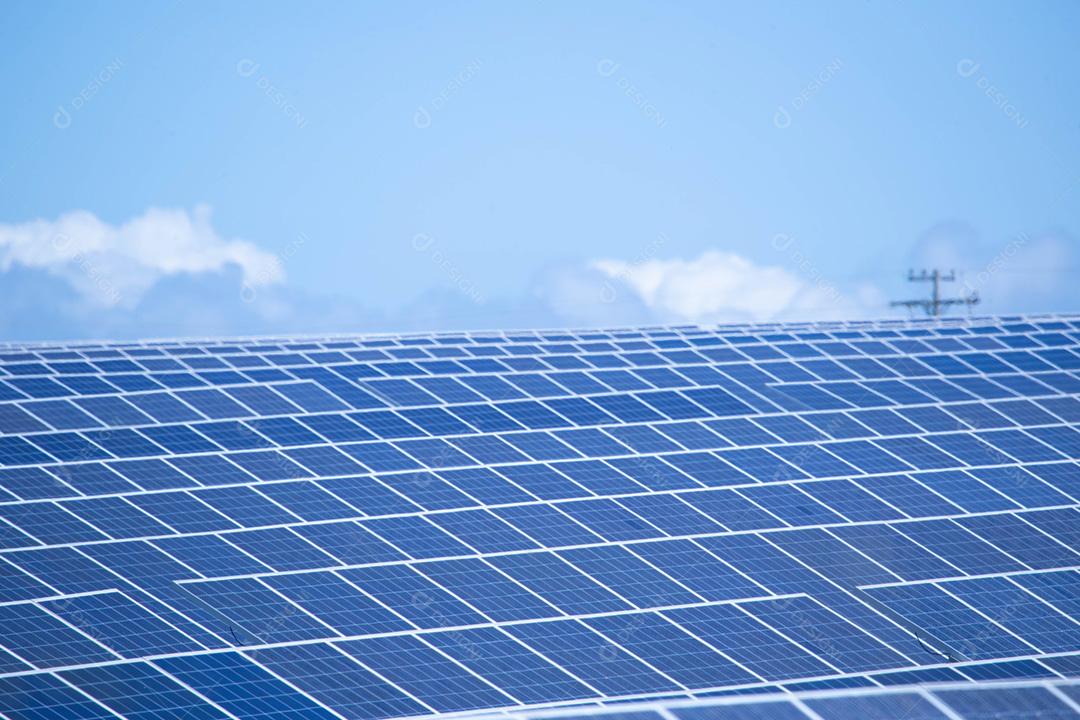 energia verde da fazenda solar da luz do sol mostra muita célula solar