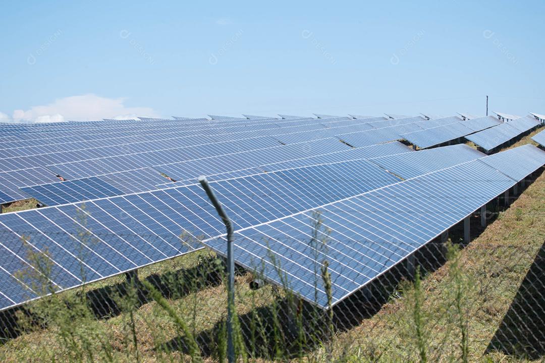 energia verde da fazenda solar da luz do sol mostra muita célula solar
