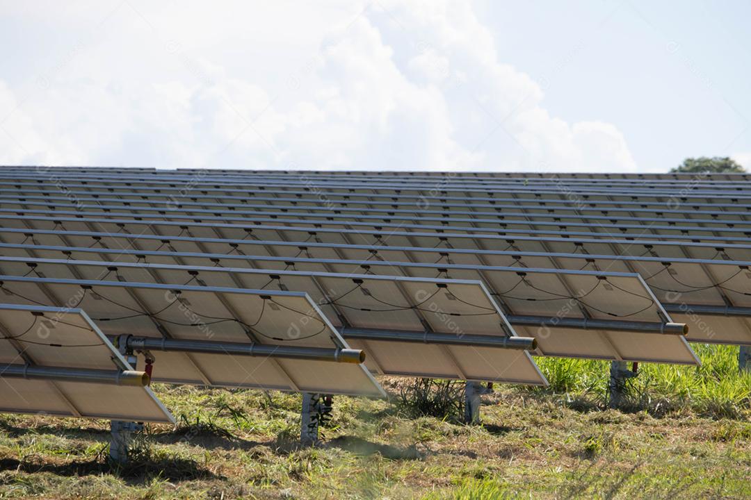 energia verde da fazenda solar da luz do sol mostra muita célula solar
