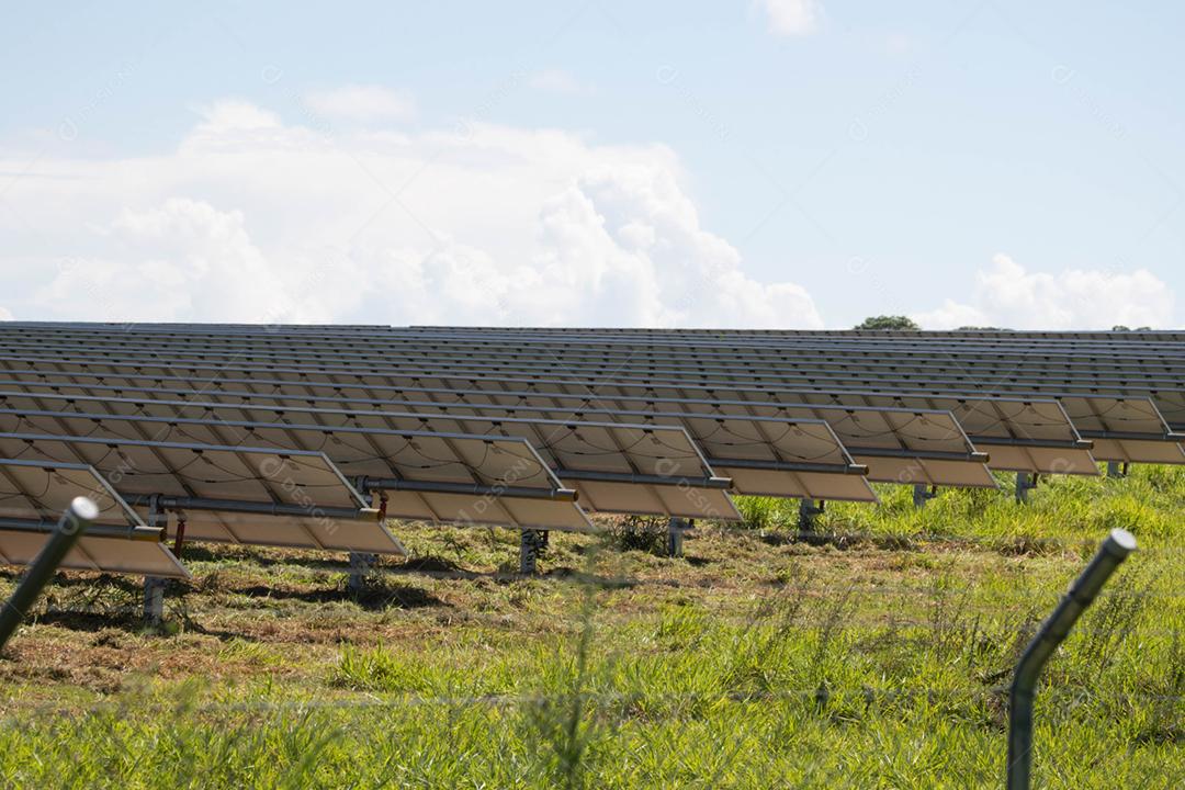 energia verde da fazenda solar da luz do sol mostra muita célula solar