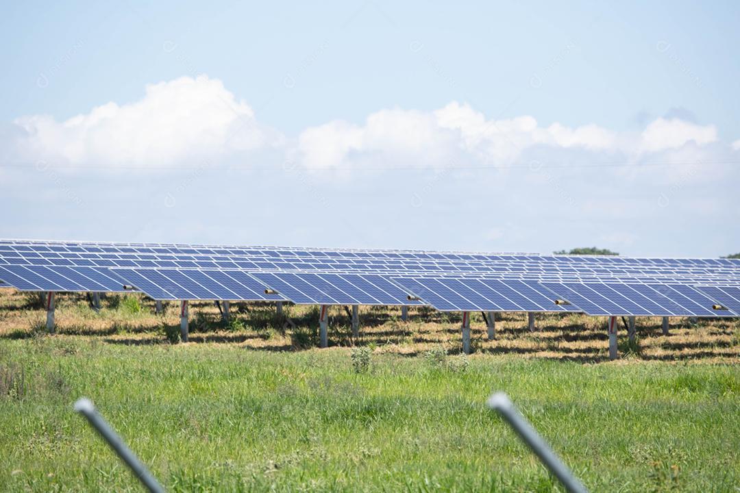 energia verde da fazenda solar da luz do sol mostra muita célula solar