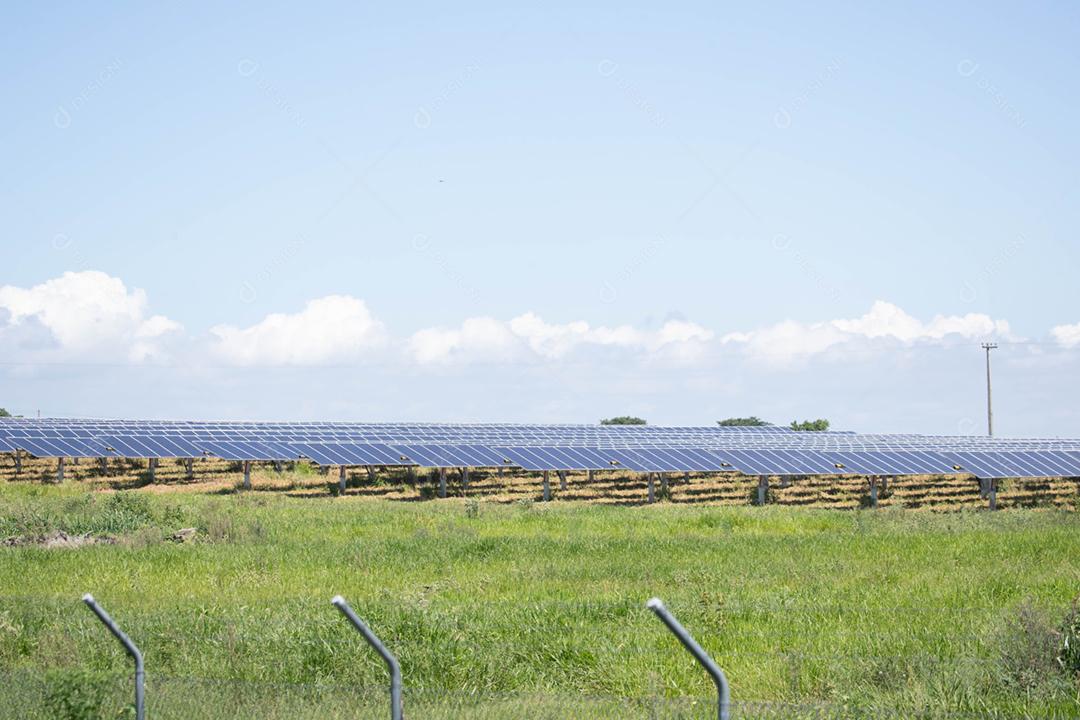 energia verde da fazenda solar da luz do sol mostra muita célula solar