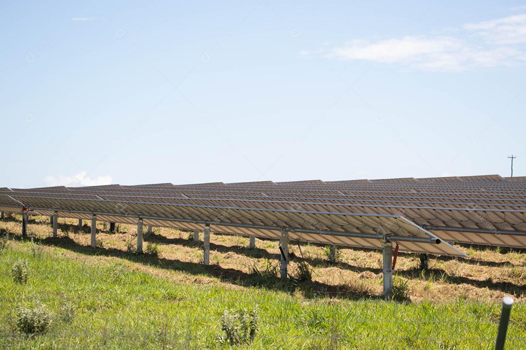 energia verde da fazenda solar da luz do sol mostra muita célula solar