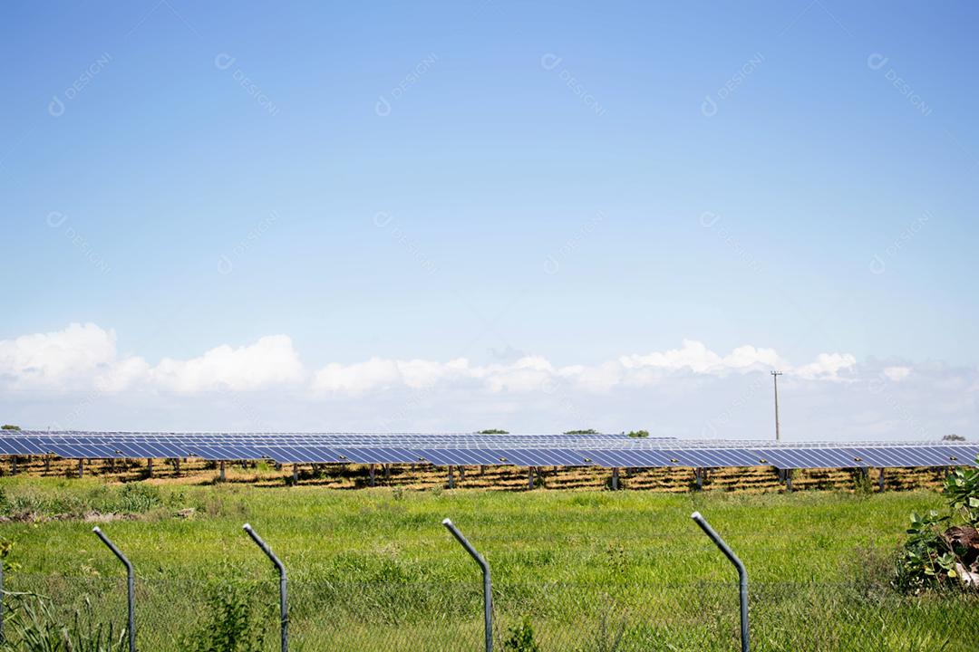 energia verde da fazenda solar da luz do sol mostra muita célula solar