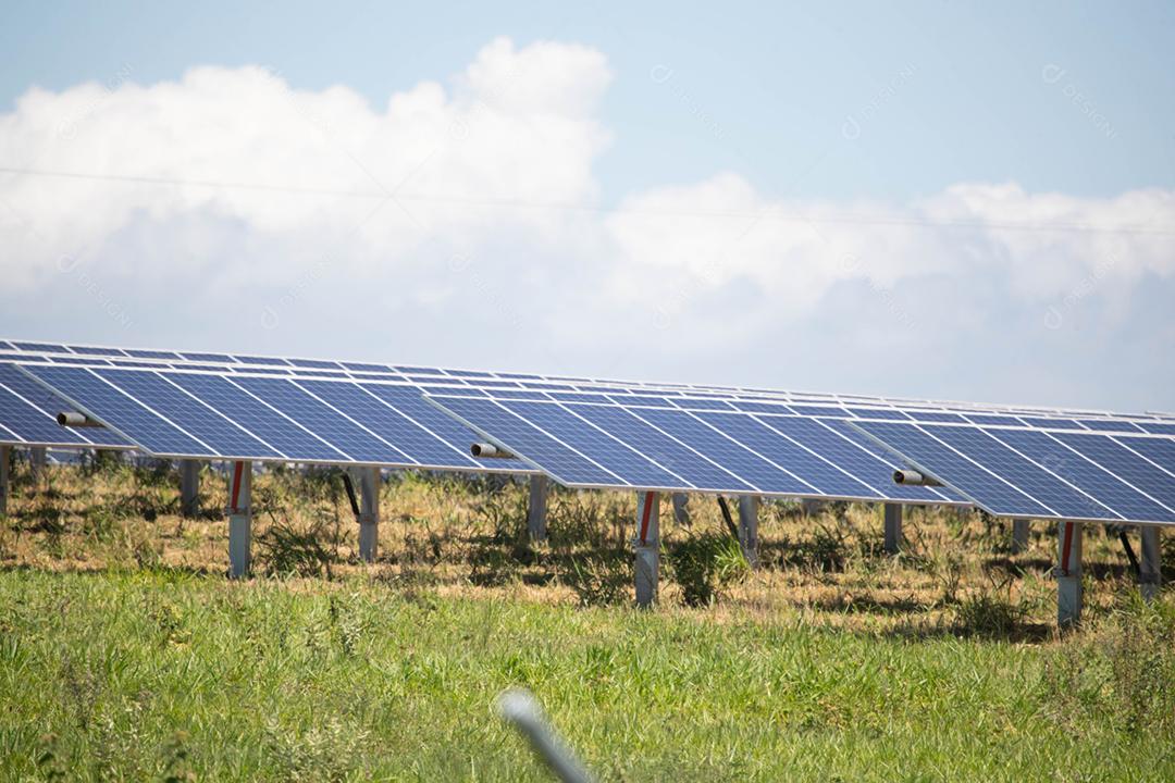 energia verde da fazenda solar da luz do sol mostra muita célula solar