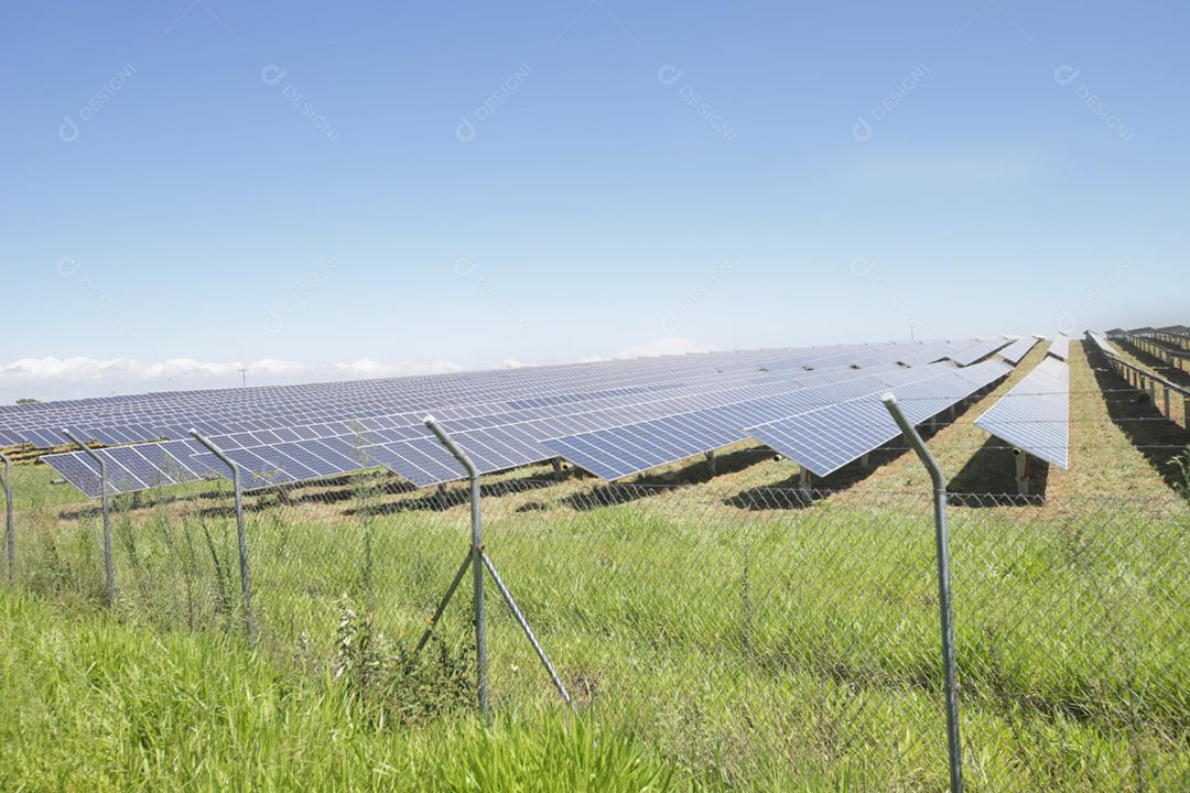 energia verde da fazenda solar da luz do sol mostra muita célula solar