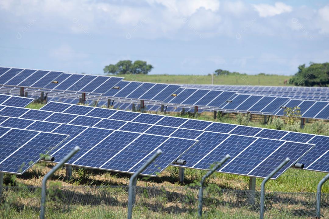 energia verde da fazenda solar da luz do sol mostra muita célula solar
