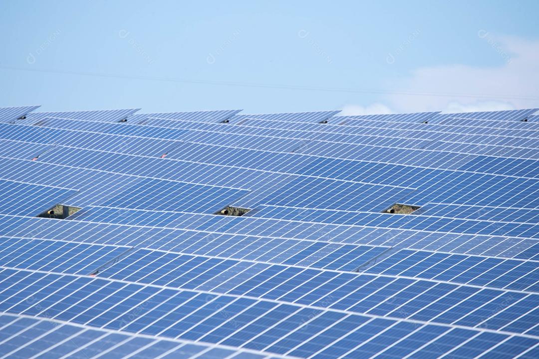 energia verde da fazenda solar da luz do sol mostra muita célula solar