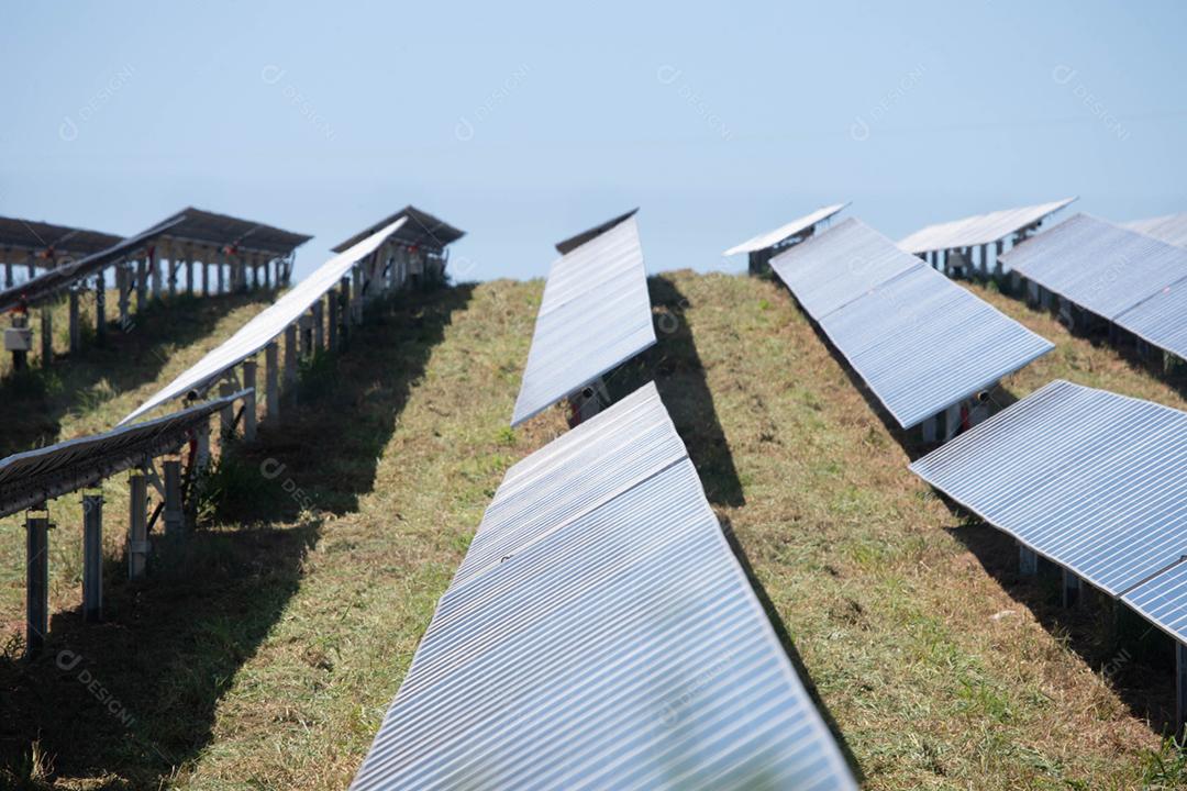 energia verde da fazenda solar da luz do sol mostra muita célula solar