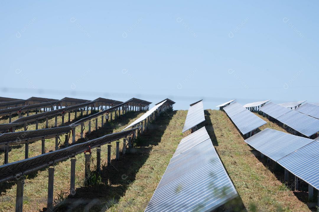 energia verde da fazenda solar da luz do sol mostra muita célula solar